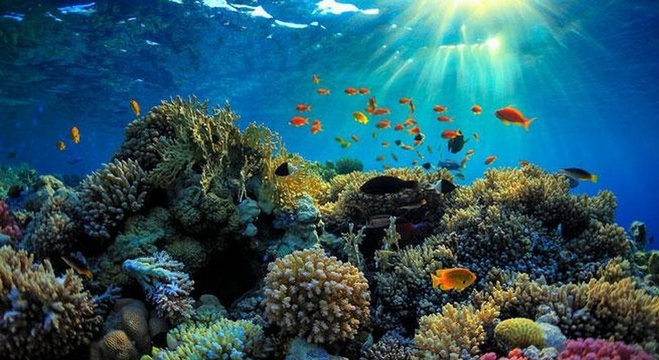 the-great-Barrier-Reef