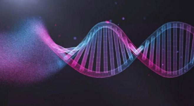 الجينوم-البشري