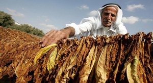 العلماء يكتشفون فائد
