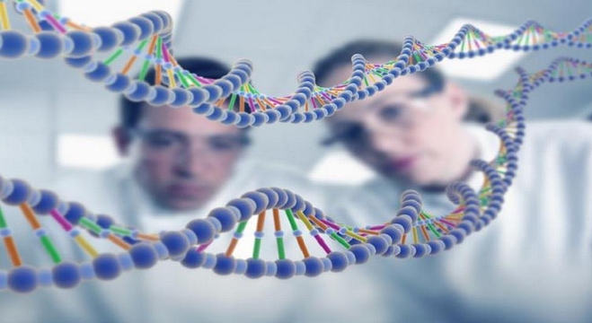 الحمض-النووي-البشري