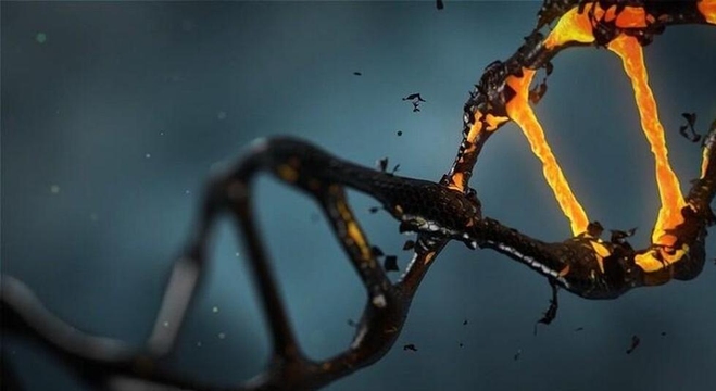 الحمض النووي