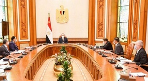 السيسي يبحث مع مدير 