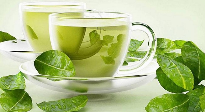 الشاي_الأخضر
